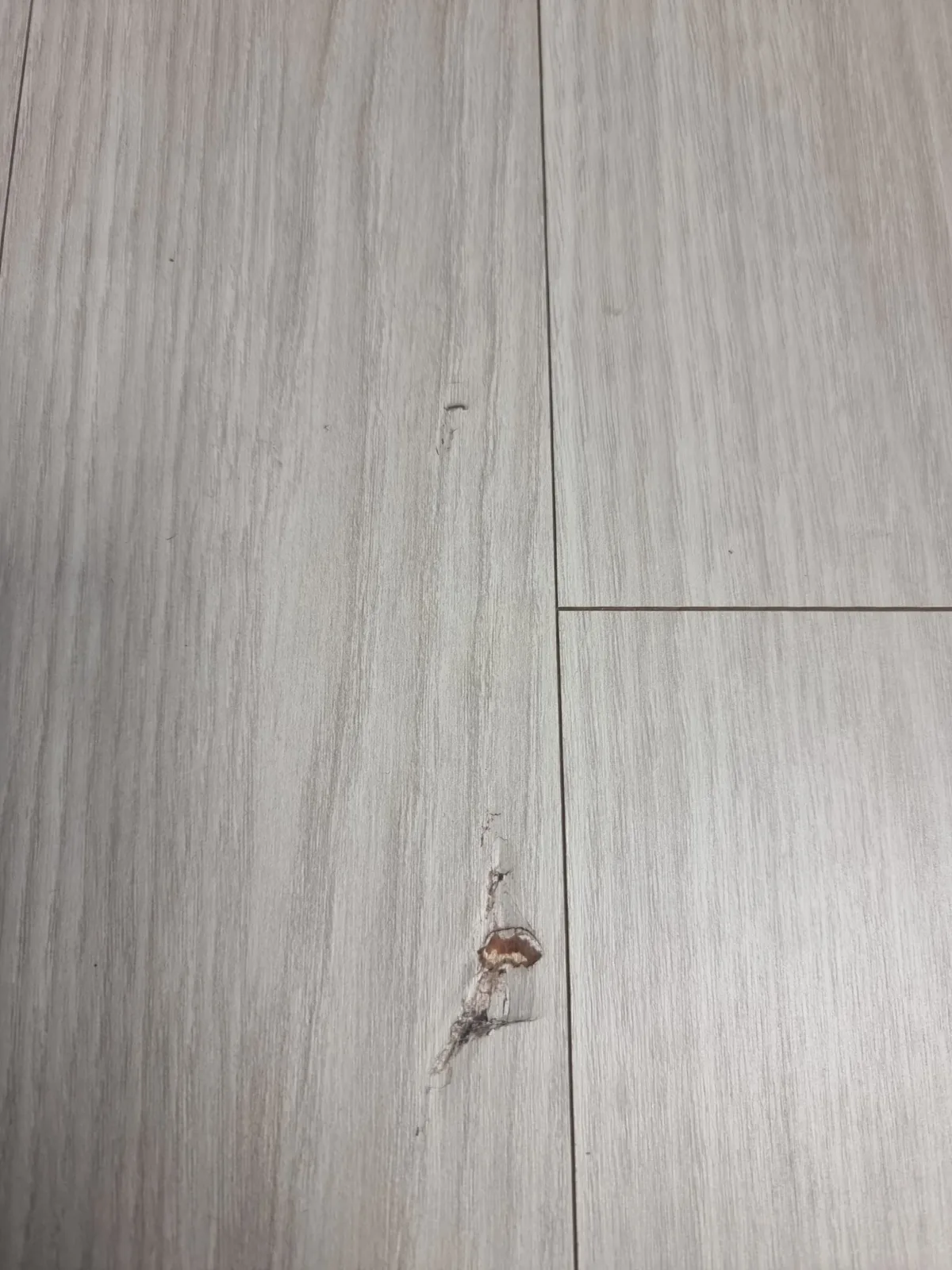 마루 판 표면이 까져 패인 자리 강마루 까짐 보수·부분 교체 — 마루 판 표면이 까져 패인 자리